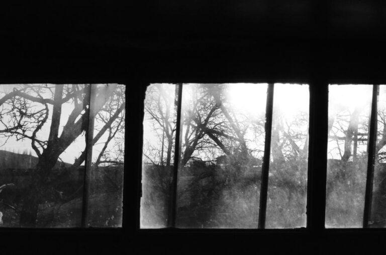 morning light window
