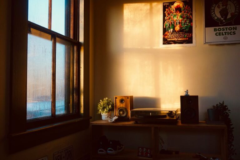 sunlit living room corner