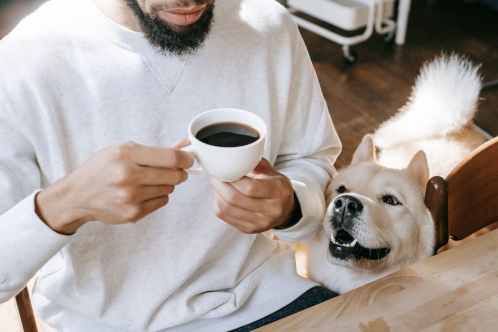 The Weekend a Dog Comes to Stay: Slow Mornings and a Proper Travel Kit